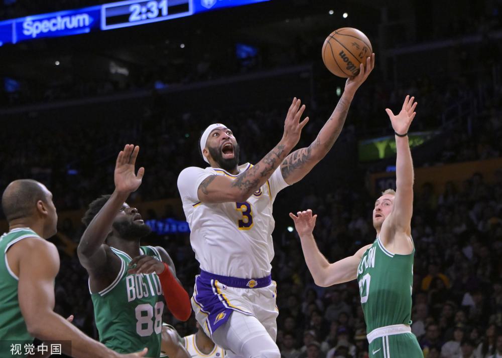 贝尔纳多 贝尔纳多